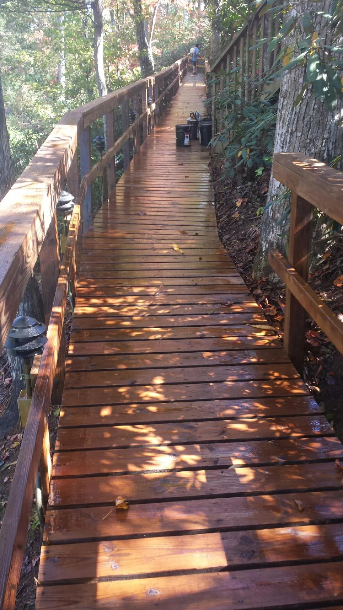 Freshly stained wood walkway winding through the woods in Pomona